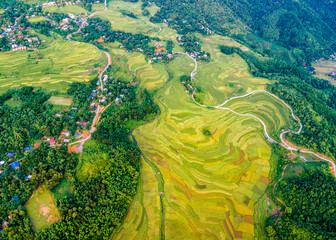 Mountainous ripen rice fields in Pu Luong, Vietnam viewed from the air.