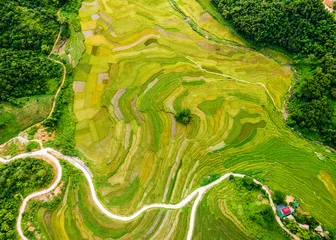 Foto op Canvas Mountainous ripen rice fields in Pu Luong, Vietnam viewed from the air. © hcongthanh
