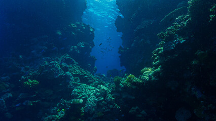 Underwater photo of rays of light at the gate of a coral reef