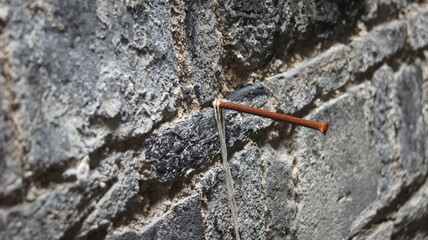 Stone Wall Nail