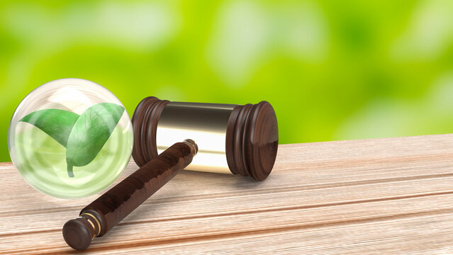 The Leaf in glass ball and Hammer for law of Environmental technology 3d rendering