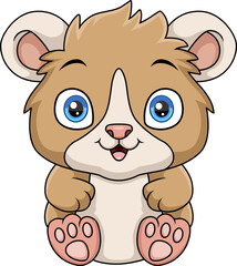 Cute baby hamster on white background