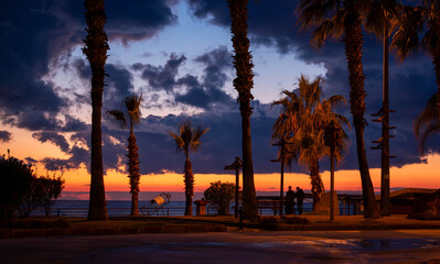 Promenade along the sea with palm trees at sunset