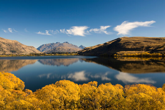 Autumn colors on Lake Hayes located in the Wakatipu Basin in Central Otago, South Island in New Zealand