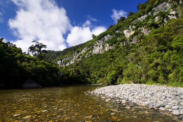Pororari River, Punakaiki, on West Coast South Island New Zealand.