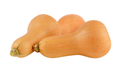 butternut squash on  transparent png