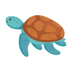 sea life turtle
