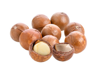 macadamia nuts isolated on transparent png