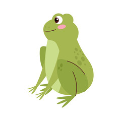 frog animal side view