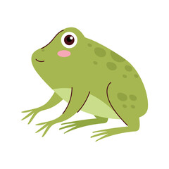 frog amphibian illustration