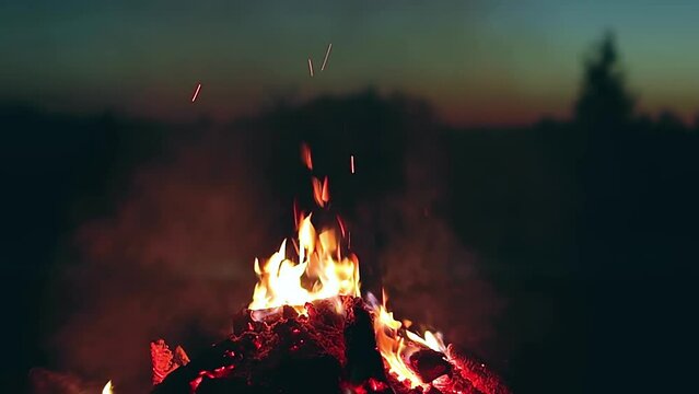 Big Campfire is Burning Down in Early Morning or Evening against the Blue Sky. Wood on Fire. Flying Sparks. Travel and Tourism Concept. Remains of a Giant Bonfire at Summer - Static Shot, Slow Motion