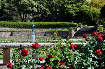 A view in the Royal Botanic Gardens of Sydney, Australia