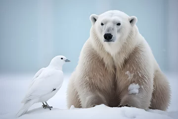 Fotobehang polar bear with arctic dove in the snow © sam