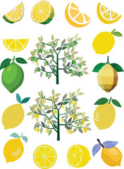 vector collection of whole lemons, lemon slices and lemon trees in green and yellow colors. in low poly and flat art on a white background