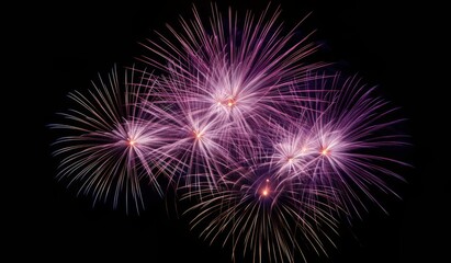 fireworks in the night