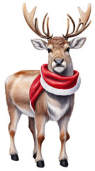 Naklejka na ściany i meble Christmas reindeer isolated on white background. Watercolor illustration.