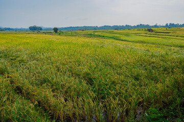 a beautiful countryside feel accompanied by blue skies