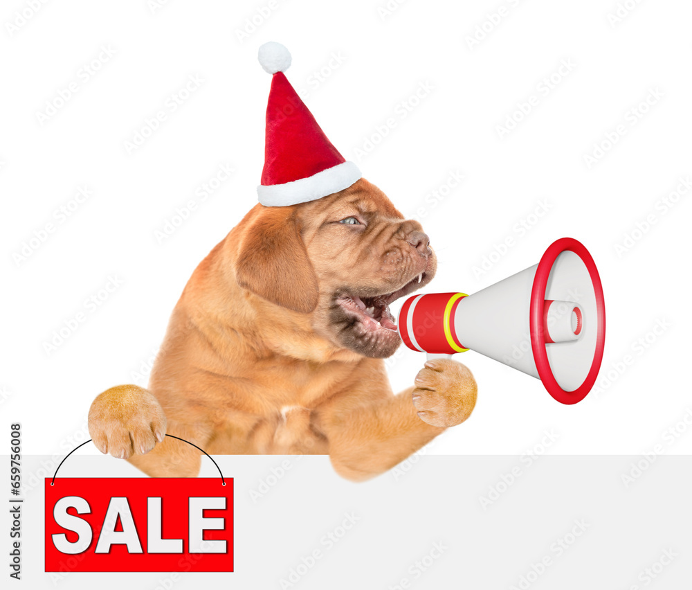 Poster funny puppy wearing santa hat barking into the megaphone above empty white banner and showing signbo