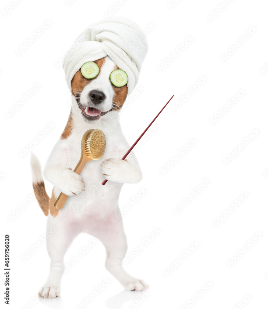 Poster jack russell terrier puppy with towel on it head holds bath brush and points away on empty space. is