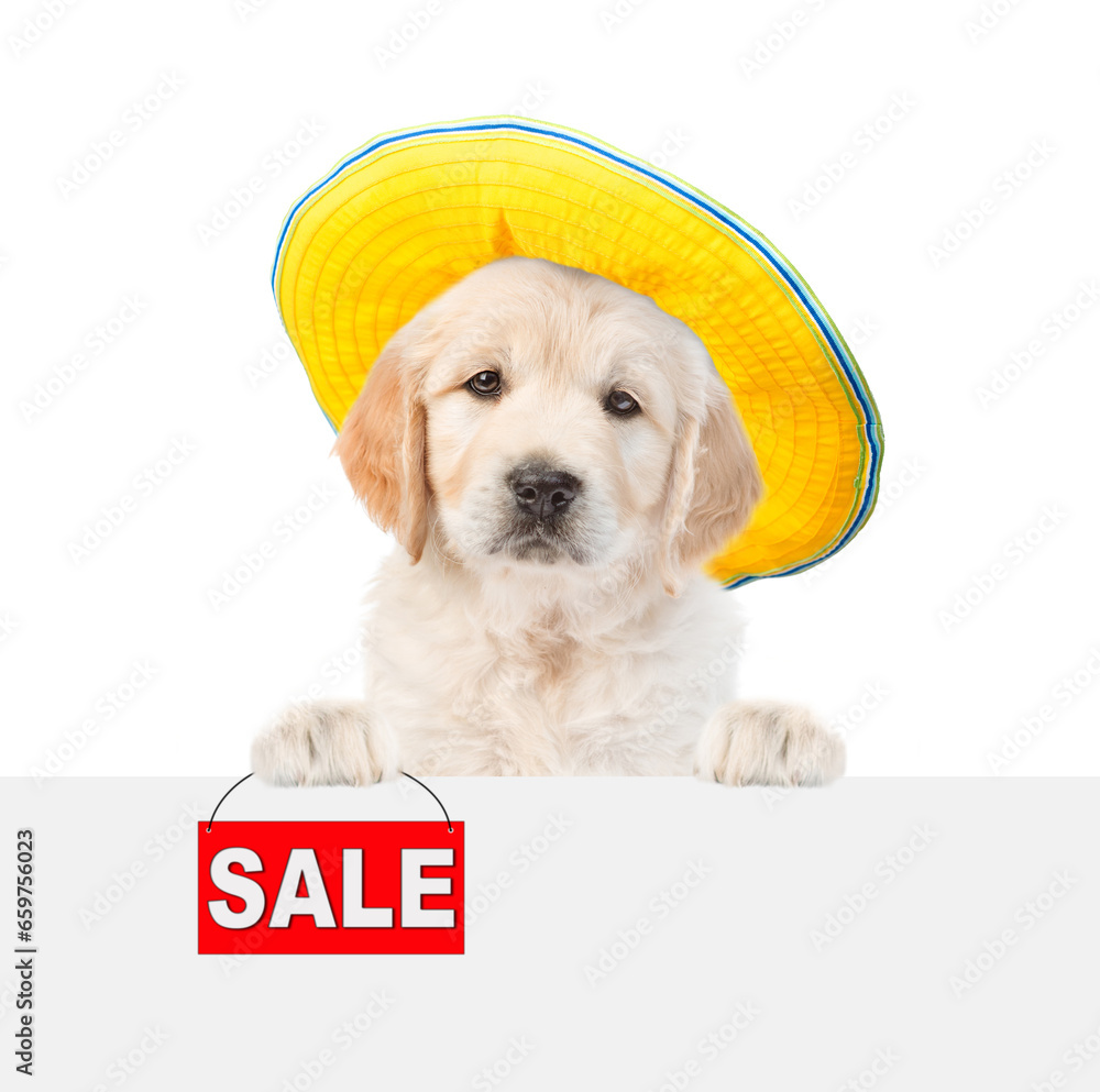 Poster funny golden retriver puppy wearing summer hat holds signboard with labeled 