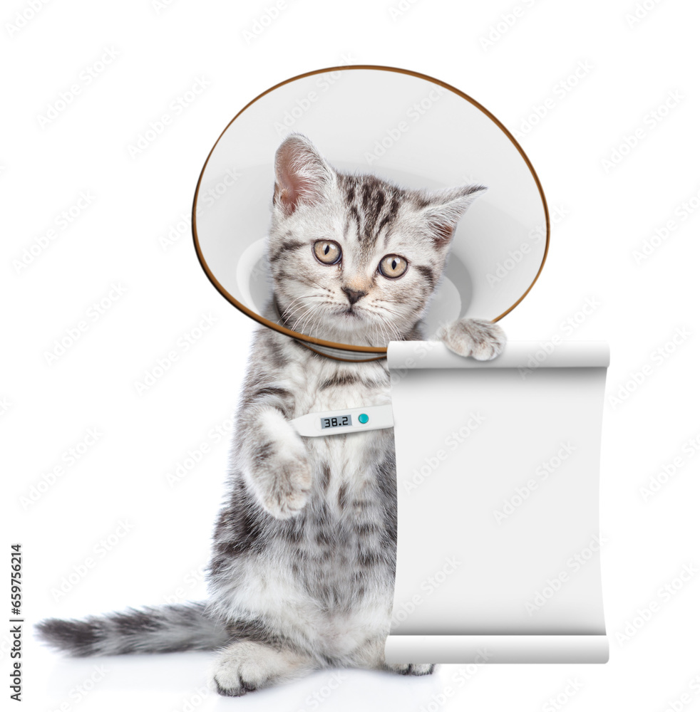 Aufkleber cute tabby kitten wearing protective cone collar holding thermometer onder her paw looking at camera