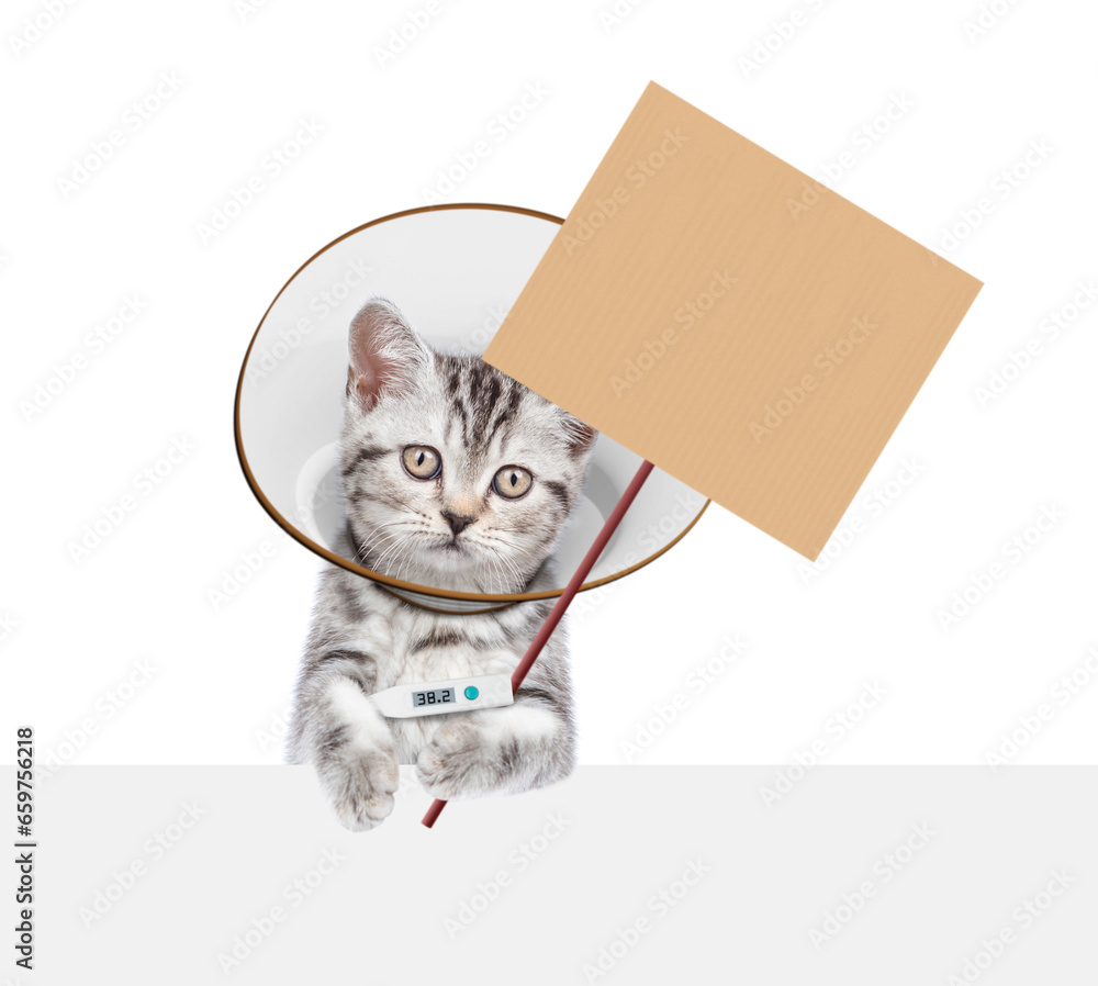 Poster cute tabby kitten wearing protective cone collar looking above empty white banner. isolated on white