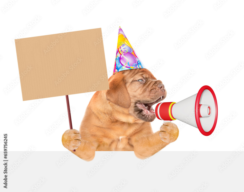 Poster funny mastiff puppy wearing party cap barks into megaphone above empty white banner and shows empty 