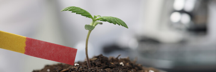 Scientist does test of soil fertility using indicator paper