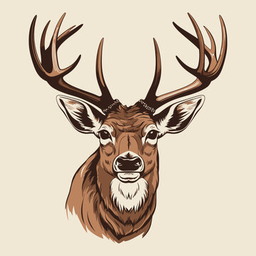 Deer head woodcut style vector illustration