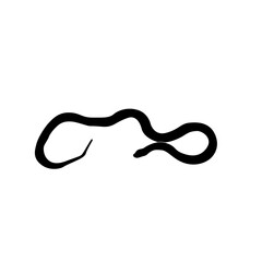 Snake vector png