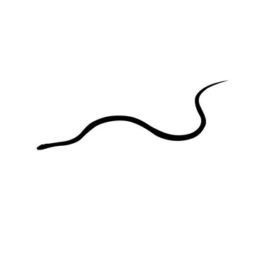 recommend clip art: Snake vector png