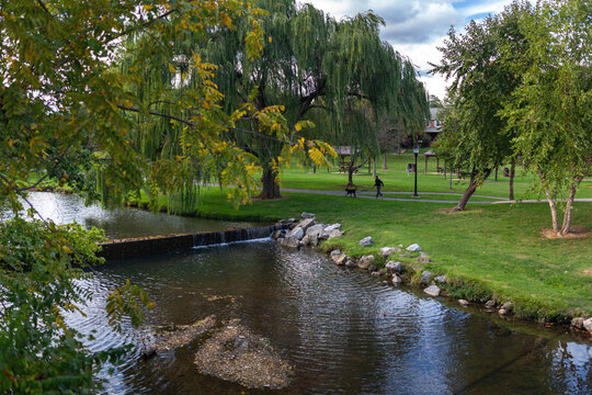 Baker Park, Frederick, MD: Willow trees, green grass, and a scenic walk along Carroll Creek with people and their dogs, creating a tranquil urban oasis in the heart of the city.