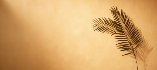 A wide-format background image featuring palm leaves casting soft shadows against an empty wall, providing a tranquil backdrop for creative content. Photorealistic illustration