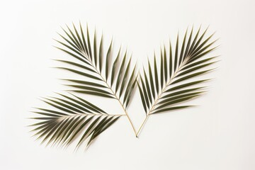A background image featuring lush green palm leaves set against a clean white background, offering a fresh and vibrant backdrop for creative projects. Photorealistic illustration