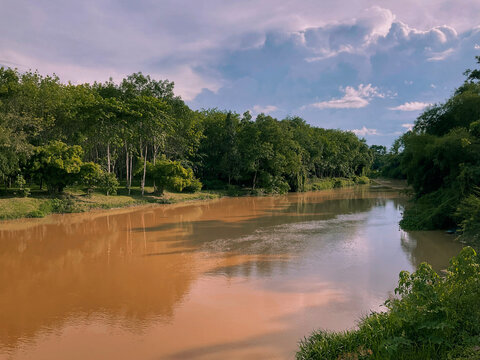 river in the forest