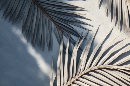 A background image with a close-up view of brown palm leaves illuminated by sunlight, creating a warm and textured backdrop. Photorealistic illustration