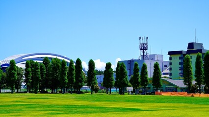 夏の晴れの日の辰巳の森海浜公園