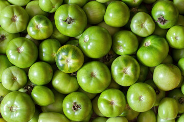 Harvest of green tomatoes. Lots of green vegetables. The texture of natural organic tomatoes.