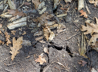 Cracked soil, ground - land formed as a result of drought