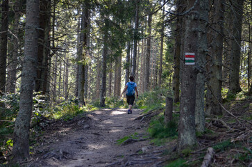 person in the woods © Pawel Filusz