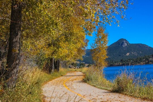 Walking Trail in an Autumn Landscape 