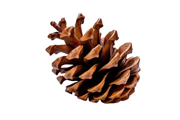 Dried pine cone isolated on transparent background. Generative Ai