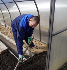 A man works in a vegetable garden in early spring.  Digs the ground.   Working in a greenhouse
