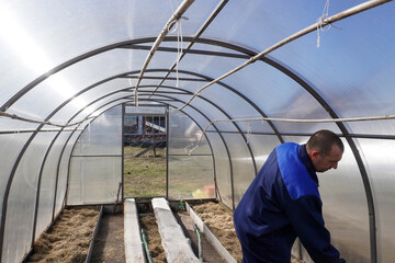 A man works in a vegetable garden in early spring.  Digs the ground.   Working in a greenhouse