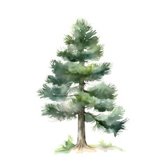 Watercolor Tree on White, Large File, 8000px by 8000px