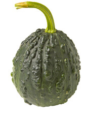 wonderful dwarf decorative pumpkin for interior decorationon a white background