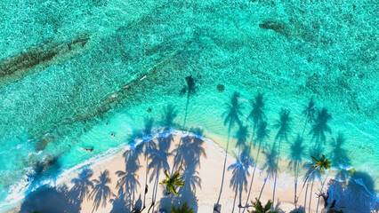 Fototapeta na wymiar Summer palm tree and Tropical beach with blue sea background