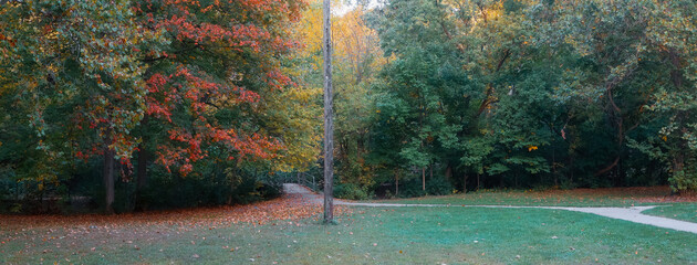 Panoramic view of colorful trees along Hines drive recreation area in Michigan.
