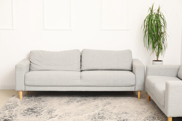 Interior of living room with cozy grey sofas, houseplant and stylish carpet