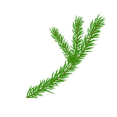 pine branch illustration on christmas
